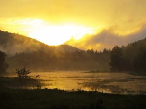 river in mist at sunset 2 (2)               